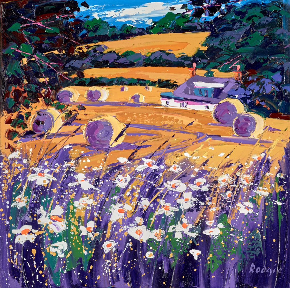Border Wheatfields